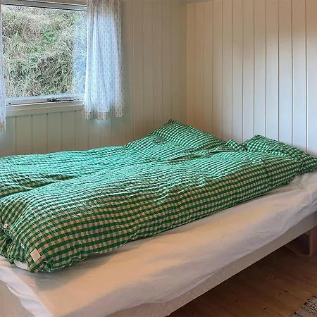 Tziki Ferienhaus Fanø