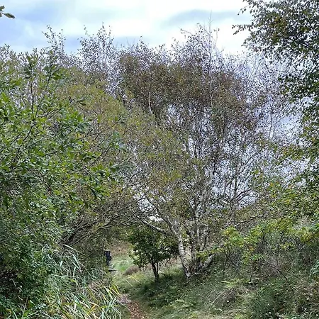 Ferienhaus Tziki *